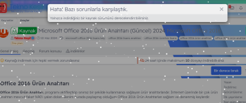 Ekran görüntüsü 2024-12-11 142333.png